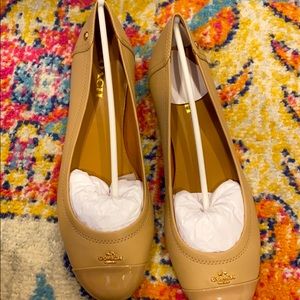 Coach ballet flats